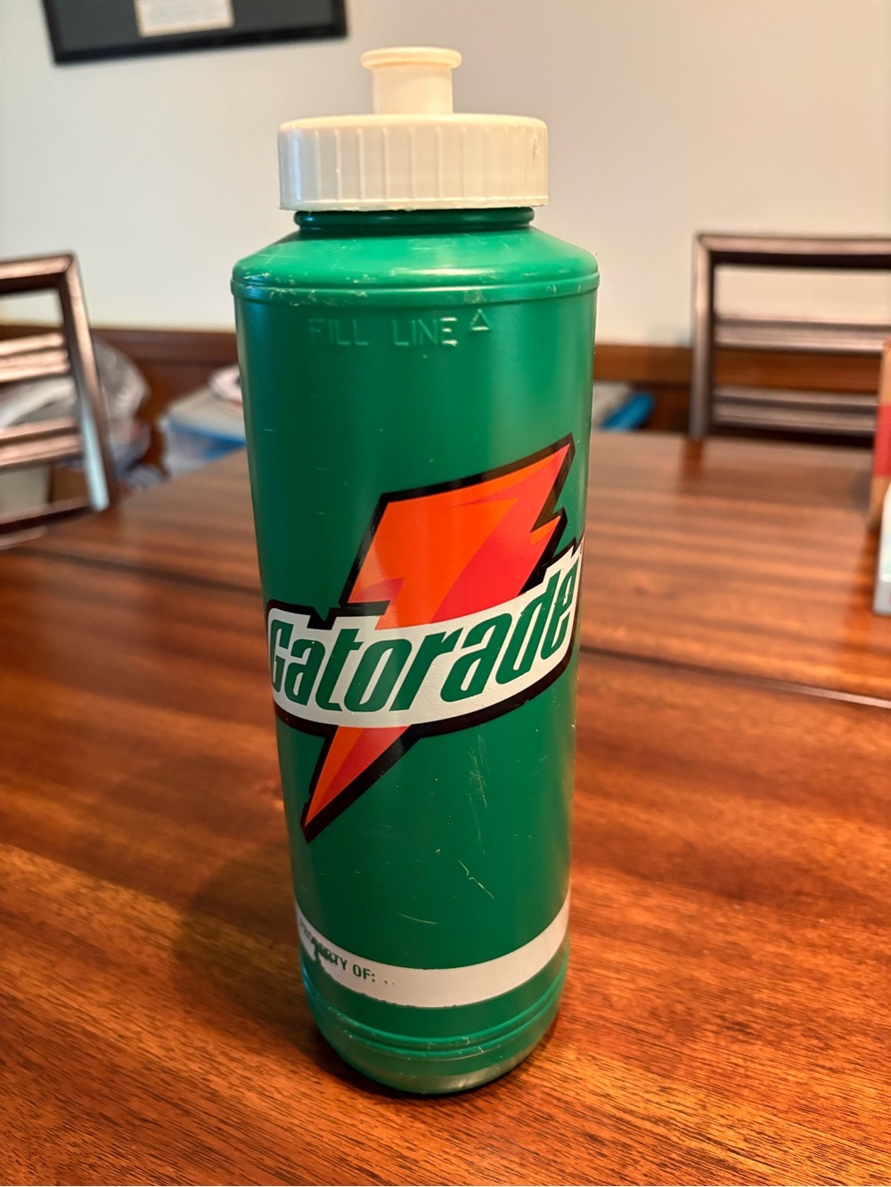 Rare Vintage/Retro Gatorade Squeeze Water Bottle